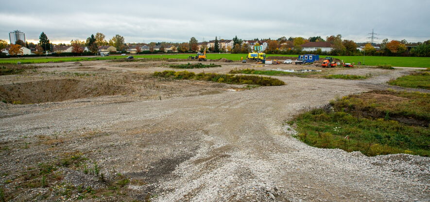 Bild: Ulrich Haas (02.11.2023)