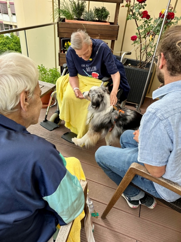 KlinikumMemmingen_TiergestützteTherapie_04.jpg