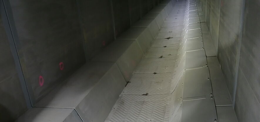 Bild: KMM (13.06.2024)