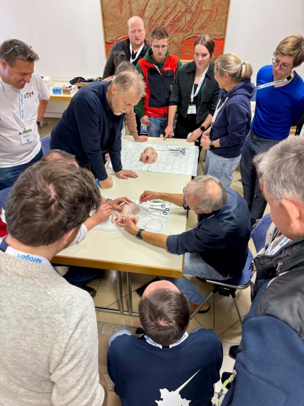 KlinikumMemmingen_Notfallgäu_2025 (7).jpg