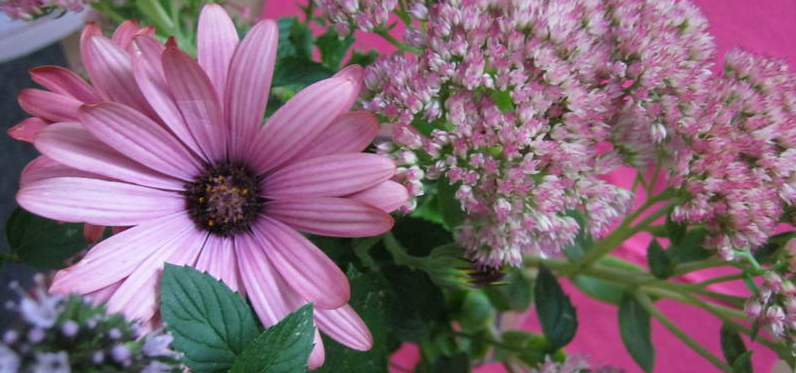 Impressionen zum Informationsabend für die neuen Klassen.